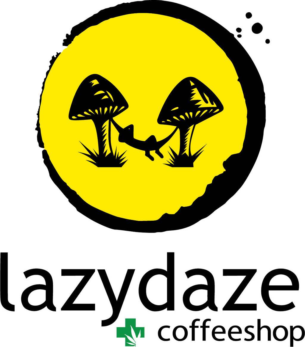 LazyDaze Candle Workshop - Saturday, October 10th @4PM